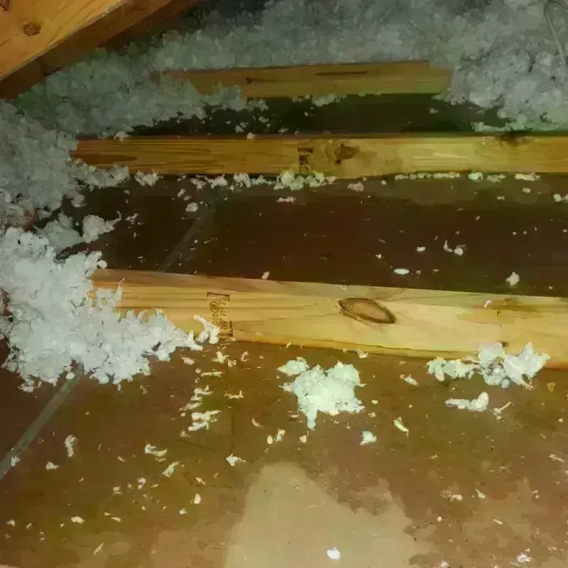 Attic Water Damage in Cambridge, NE